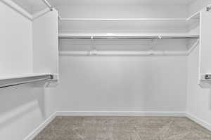 Walk in closet featuring light carpet