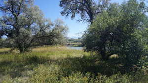 View of local wilderness featuring a water view