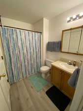 Bathroom with vanity, hardwood / wood-style floors, a shower with curtain, and toilet