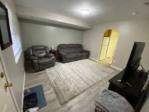 Living room featuring light wood-type flooring