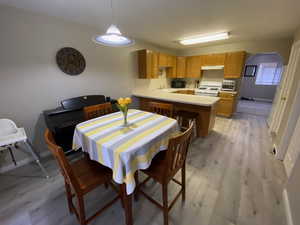 Dining space featuring sink and light wood-type flooring