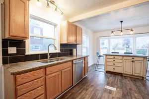 Kitchen with sink, dark hardwood / wood-style flooring, dishwasher, pendant lighting, and backsplash