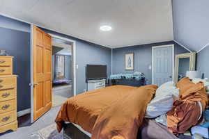 Carpeted bedroom with lofted ceiling