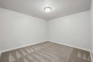 Carpeted spare room with a textured ceiling