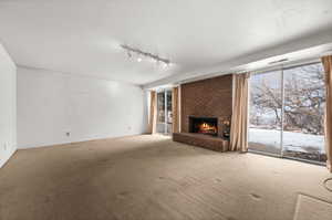 Fully finished walkout basement with fireplace