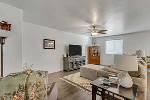 Living room featuring ceiling fan and wood-type flooring