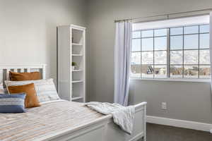 Carpeted bedroom featuring a mountain view