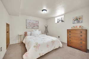 Basement Carpeted bedroom featuring a textured ceiling