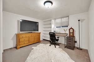 Basement Bedroom/Office featuring a textured ceiling