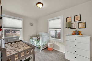 Main Floor Bedroom with light colored carpet