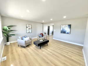 Living room featuring light hardwood / wood-style flooring