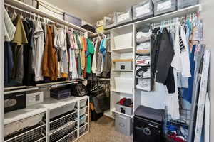 Spacious closet featuring carpet