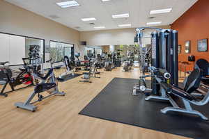 Gym with hardwood / wood-style flooring and a drop ceiling