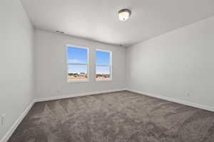 Unfurnished room featuring carpet flooring and a textured ceiling