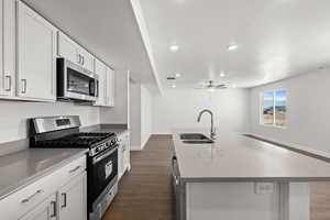 Kitchen with sink, white cabinets, dark hardwood / wood-style flooring, a kitchen island with sink, and stainless steel appliances