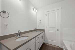 Bathroom with vanity, wood-type flooring, and a bath