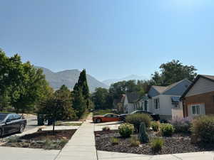 Mountain view of Taylor Canyon