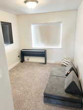 Living area with carpet floors and a textured ceiling