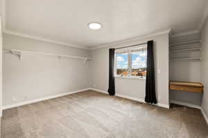 Unfurnished bedroom with ornamental molding, carpet floors, and a textured ceiling