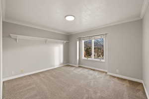 Carpeted spare room featuring ornamental molding and a textured ceiling