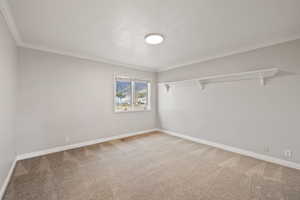 Carpeted spare room featuring ornamental molding and a textured ceiling