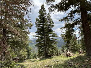 View of local wilderness with a mountain view