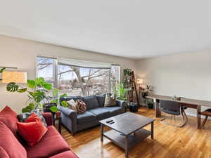 Living room with a wealth of natural light and light wood-type flooring