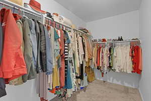 Spacious closet with carpet floors