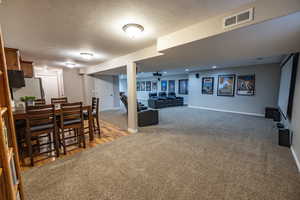 Game / theatre room with kitchen