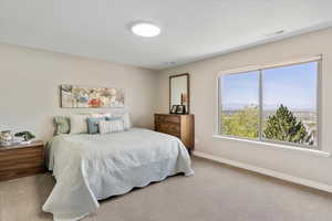 Carpeted bedroom with baseboards and visible vents