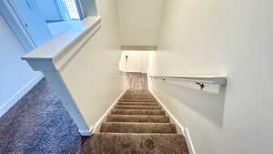 Staircase featuring carpet flooring