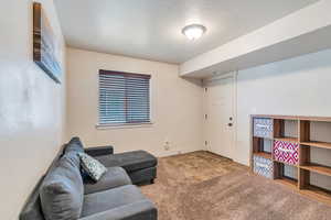 Carpeted living room with a textured ceiling