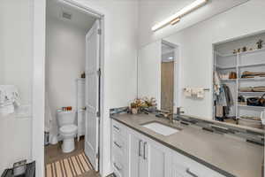 Bathroom with toilet, a shower, tasteful backsplash, vanity, and hardwood / wood-style flooring