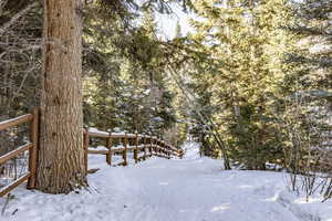 View of snowy landscape