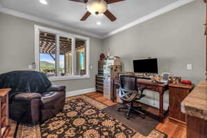 Office featuring ceiling fan, ornamental molding, and hardwood / wood-style floors