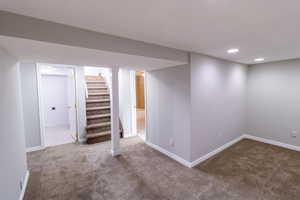 Basement featuring carpet