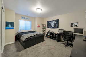 Carpeted bedroom featuring a textured ceiling