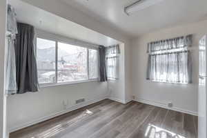 Unfurnished room with wood-type flooring, plenty of natural light, and a mountain view