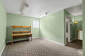 Carpeted spare room with a textured ceiling