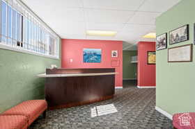 Bar with carpet and a drop ceiling