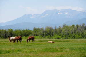 Mountain view featuring a rural view