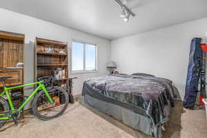 Bedroom with light carpet and track lighting