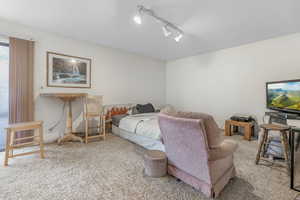 Bedroom featuring carpet floors and track lighting