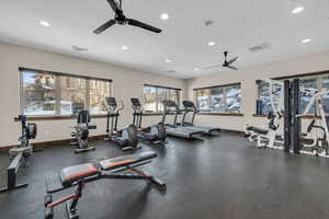 Workout area with ceiling fan