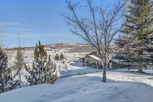 View of snowy yard