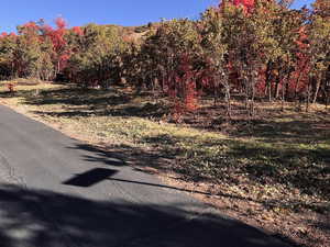 View of road