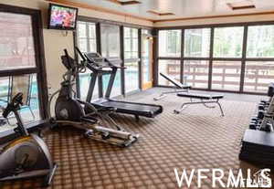 Workout area featuring carpet floors and a healthy amount of sunlight