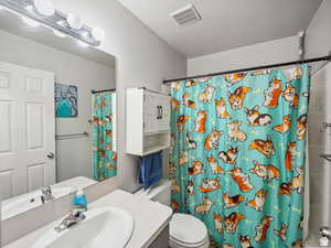 Bathroom with toilet, vanity, a textured ceiling, and a shower with shower curtain