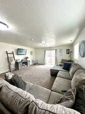 Carpeted living room featuring a textured ceiling