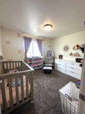 Carpeted bedroom featuring a textured ceiling and a crib